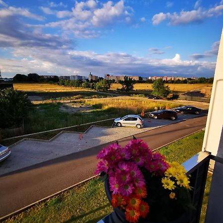 Teo Apartment Μπρασόβ Εξωτερικό φωτογραφία