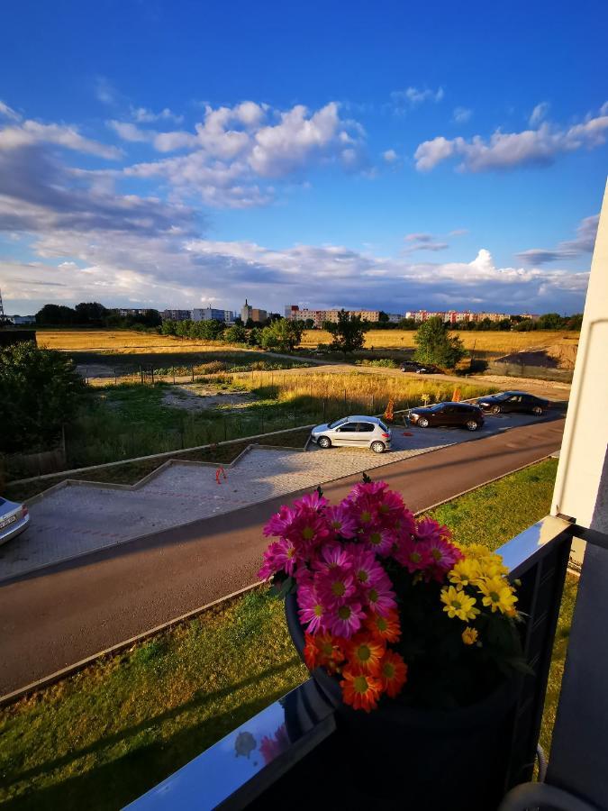 Teo Apartment Μπρασόβ Εξωτερικό φωτογραφία